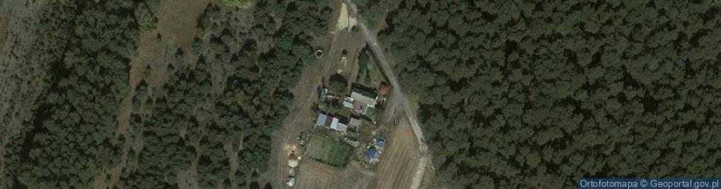 Zdjęcie satelitarne Rejna ul.
