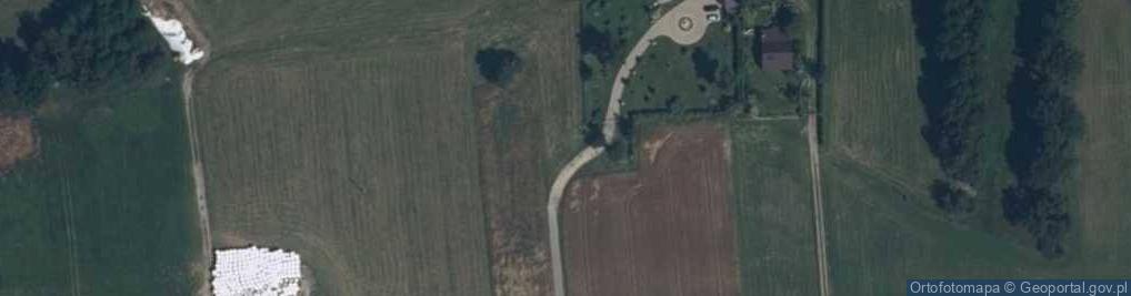 Zdjęcie satelitarne Remiszew Duży ul.