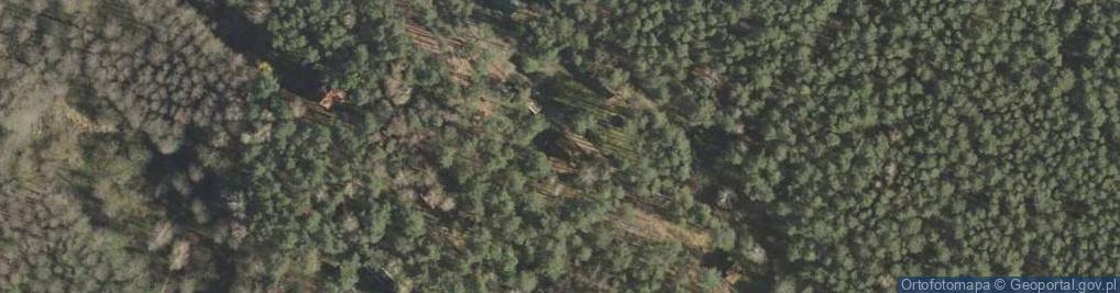 Zdjęcie satelitarne Roślinna ul.