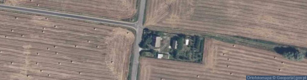 Zdjęcie satelitarne Rogieniczki ul.