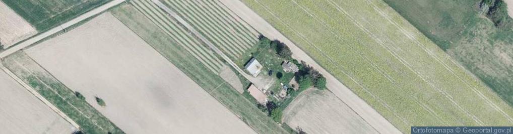Zdjęcie satelitarne Rogoźnica-Kolonia ul.