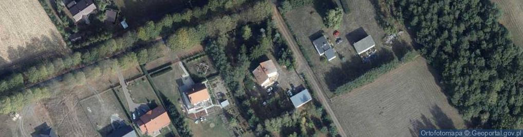 Zdjęcie satelitarne Rojewice ul.