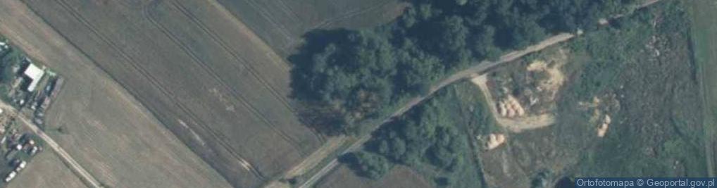 Zdjęcie satelitarne Rokitno ul.