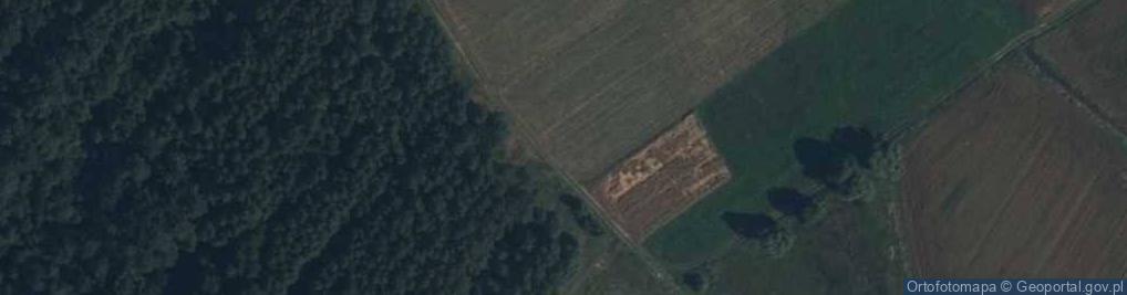 Zdjęcie satelitarne Rowiska ul.