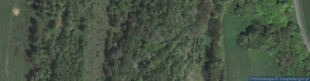 Zdjęcie satelitarne Rowerowa ul.