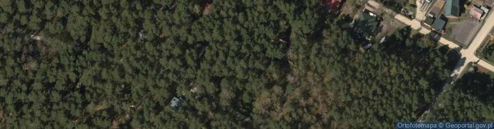 Zdjęcie satelitarne Runa Leśnego ul.