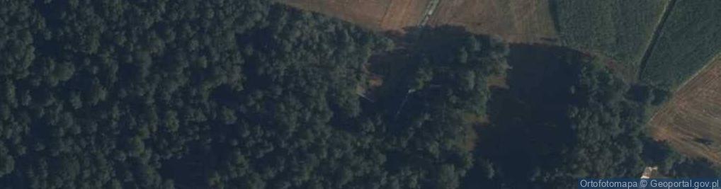 Zdjęcie satelitarne Ruciany ul.