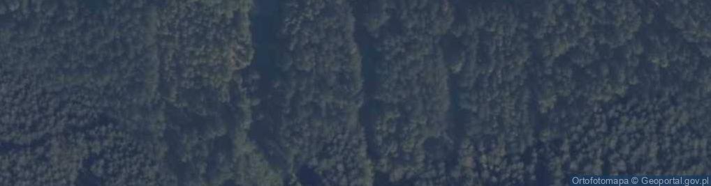 Zdjęcie satelitarne Ryczyn ul.
