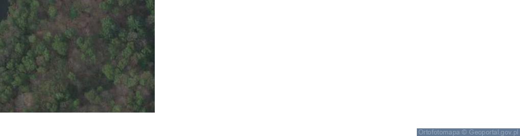 Zdjęcie satelitarne Rybnicka ul.