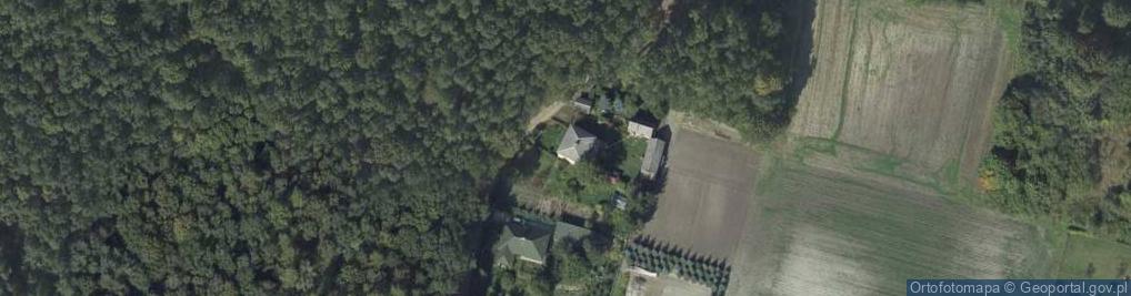 Zdjęcie satelitarne Rybie ul.
