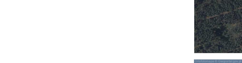 Zdjęcie satelitarne Rybojady ul.