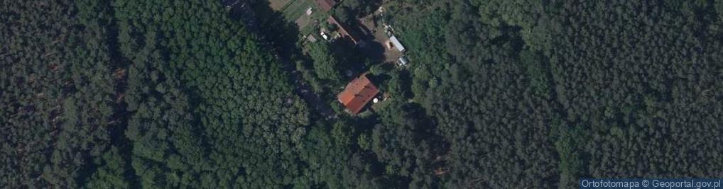 Zdjęcie satelitarne Rybojady ul.