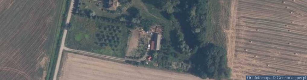 Zdjęcie satelitarne Rydzyno ul.
