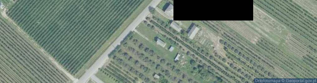 Zdjęcie satelitarne Ryłowice ul.