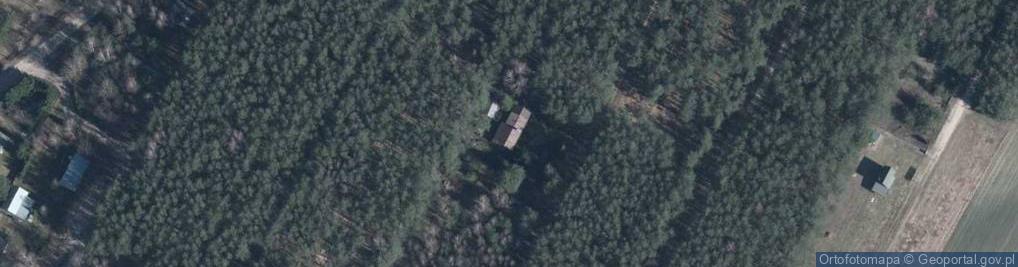 Zdjęcie satelitarne Rynia ul.