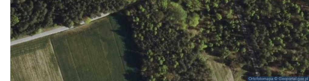 Zdjęcie satelitarne Rynołty ul.