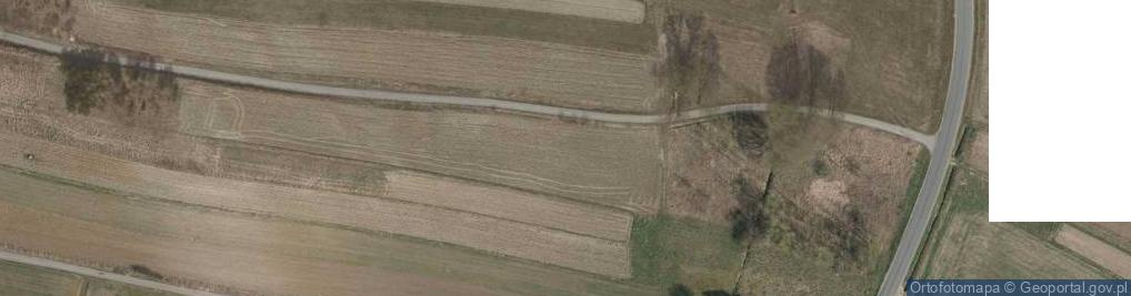 Zdjęcie satelitarne Rzeszowska ul.