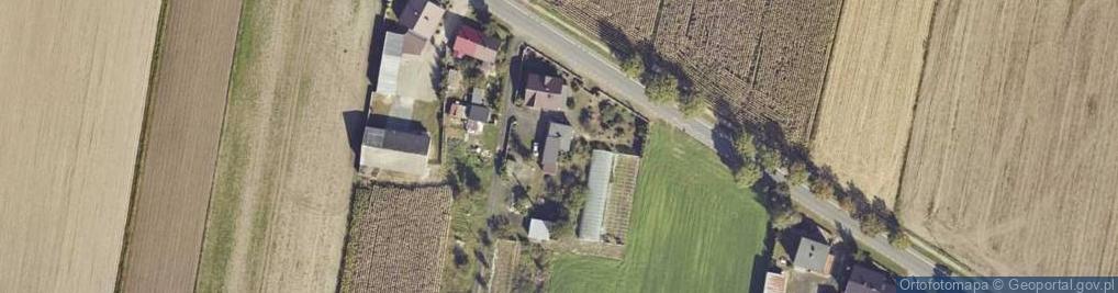 Zdjęcie satelitarne Rzgowska ul.