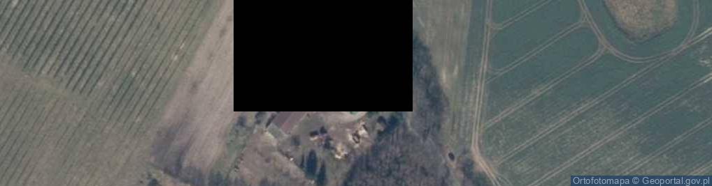 Zdjęcie satelitarne Rzecino ul.
