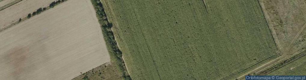 Zdjęcie satelitarne Rzemień ul.