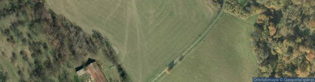 Zdjęcie satelitarne Rzepiennik Marciszewski ul.