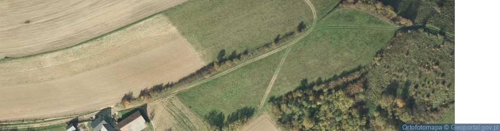 Zdjęcie satelitarne Rzepiennik Strzyżewski ul.