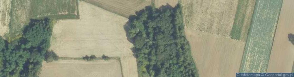 Zdjęcie satelitarne Rzeżuśnia ul.