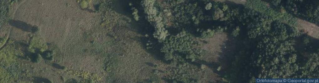 Zdjęcie satelitarne Rzeczna ul.