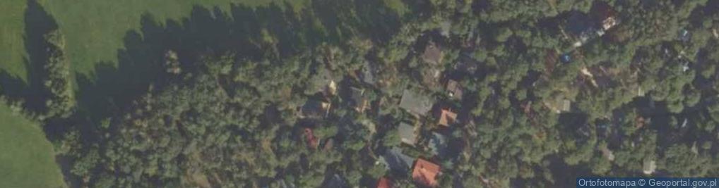 Zdjęcie satelitarne Sasankowa ul.