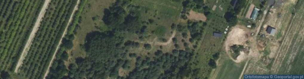 Zdjęcie satelitarne Sasanki ul.