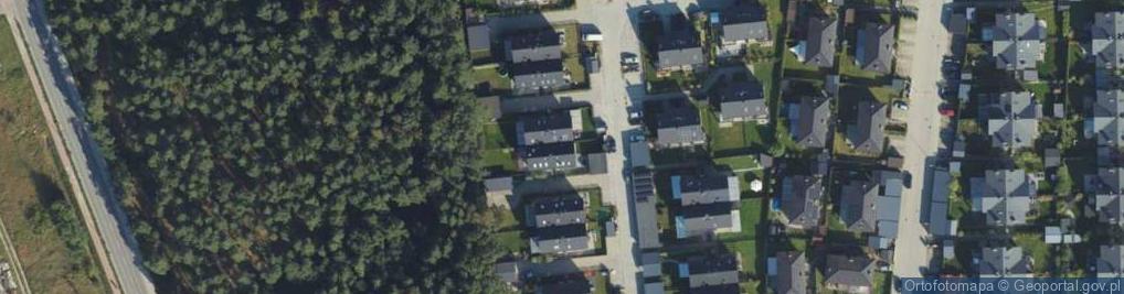 Zdjęcie satelitarne Sasankowa ul.