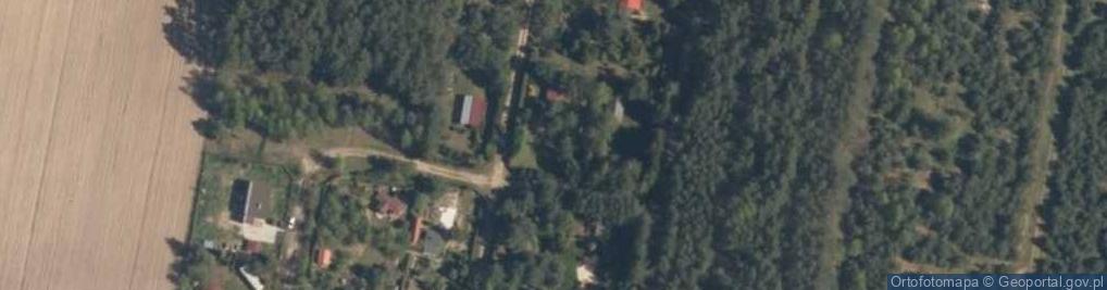 Zdjęcie satelitarne Sarnia ul.