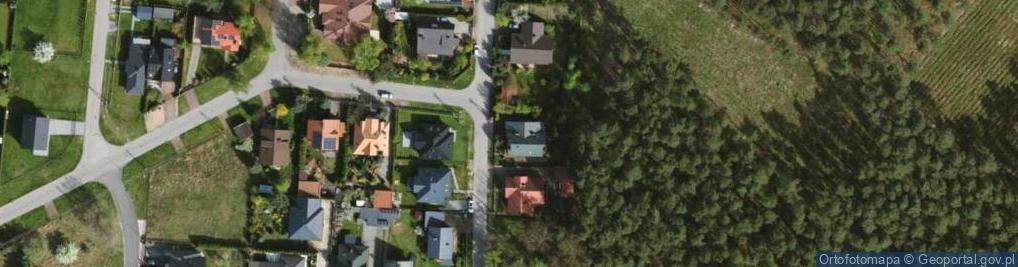 Zdjęcie satelitarne Sasanek ul.