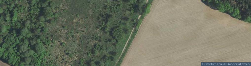 Zdjęcie satelitarne Sapiehy Adama, kard. ul.