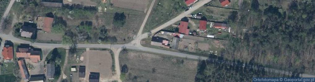 Zdjęcie satelitarne Sadzarzewice ul.