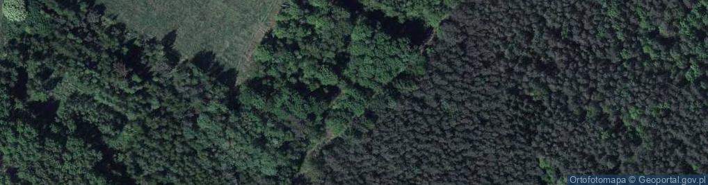 Zdjęcie satelitarne Sajówka ul.