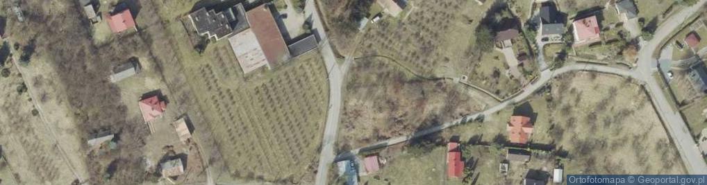 Zdjęcie satelitarne Salve Regina ul.