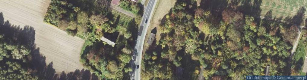 Zdjęcie satelitarne Sarnów ul.