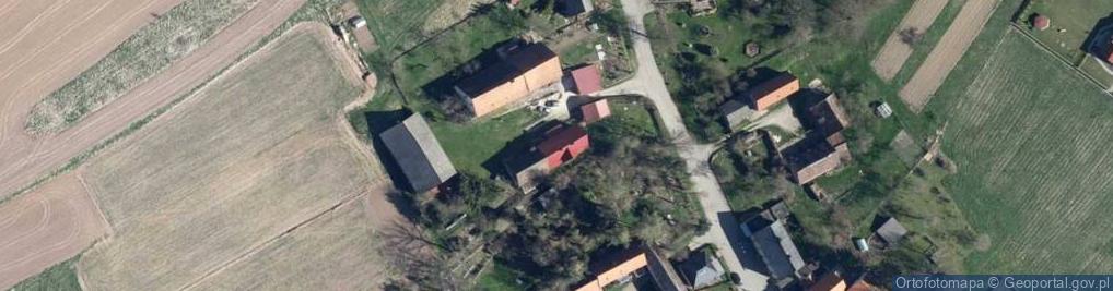 Zdjęcie satelitarne Ścinawica ul.