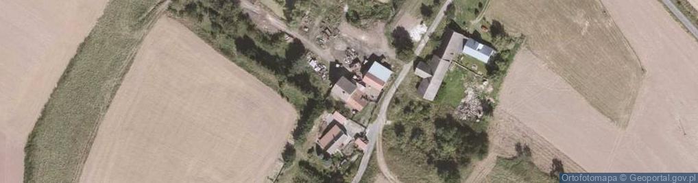 Zdjęcie satelitarne Ścinawka Dolna ul.