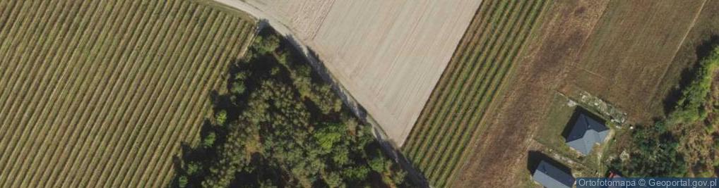 Zdjęcie satelitarne Sitnicka ul.