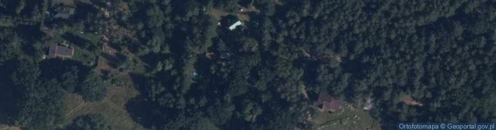 Zdjęcie satelitarne Sikoreczki ul.