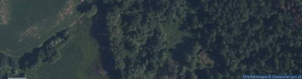 Zdjęcie satelitarne Siemionki ul.