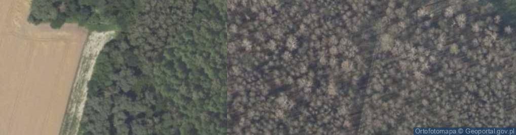 Zdjęcie satelitarne Sieniewice ul.