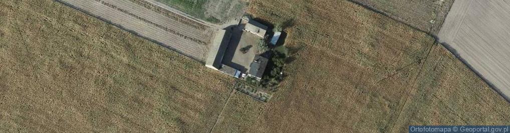 Zdjęcie satelitarne Sierzchowo ul.