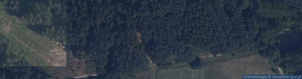 Zdjęcie satelitarne Sionna ul.
