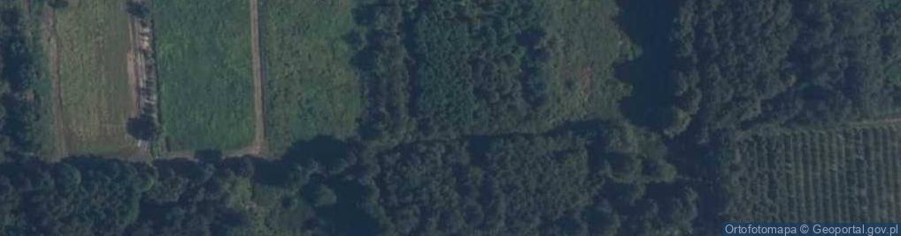 Zdjęcie satelitarne Skrajna ul.