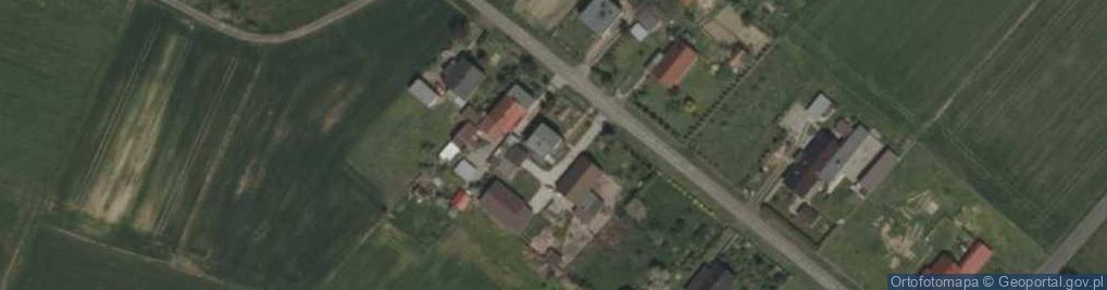 Zdjęcie satelitarne Skały ul.