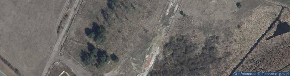 Zdjęcie satelitarne Skoki ul.