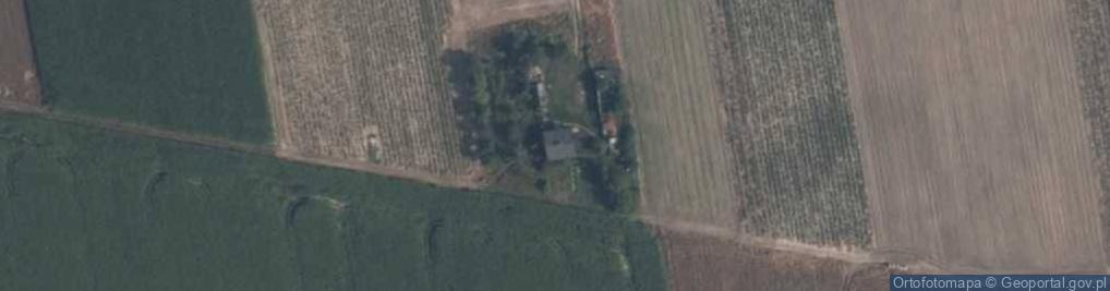 Zdjęcie satelitarne Skarboszewo ul.